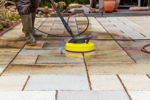 Best Animal Enclosure Cleaning  in Brices Creek, NC